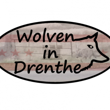 Wolven in Drenthe